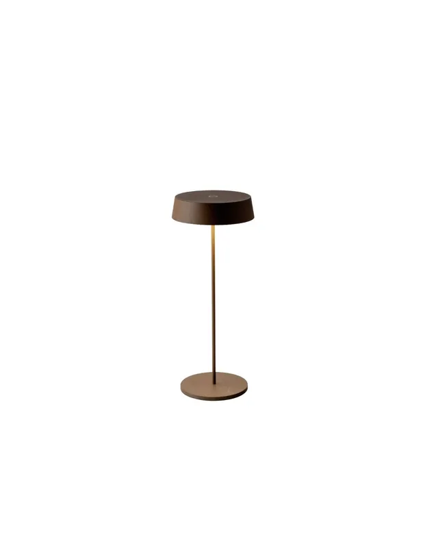 Professionale Lume portatile a batteria ricaricabile LED bronzo 2 2w 192lm 3000k ip54