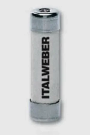 Compra Oggi Stesso ITALWEBER 10 FUSIBILI G1 CURVA GG 8,5X31,5 1100016/B10