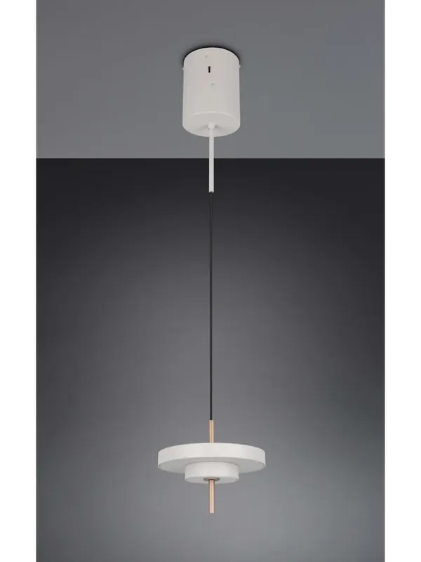 Prezzo Di Fabbrica Lampadario a sospensione moderno led D.20cm dimmerabile design TR705