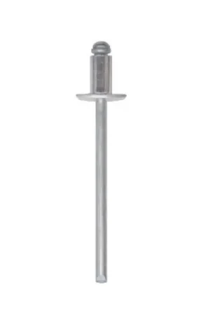 Offerta Speciale Rivetto Friulsider Rivex 5,2x19,1mm 100 pz - 03000034009F2