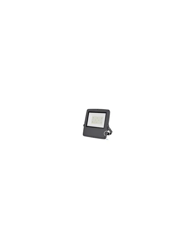 Proiettore a led 120w sl4 6500k luce bianchissima ip65 esterno Offerta Del Giorno