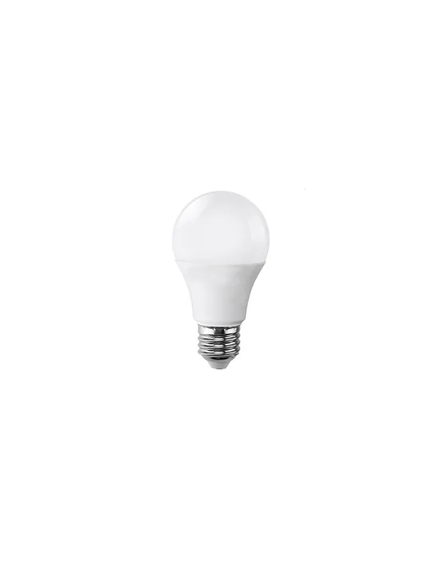Lampada a led luce bianca fredda 9w 6500k edison e27 230v Acquista Ora