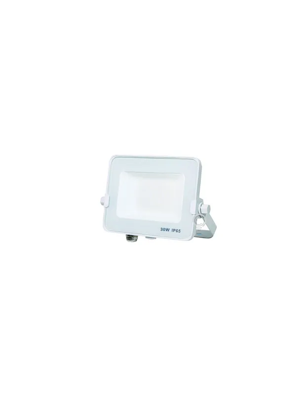 Faretto esterno slim ip65 a led 30w 2400lm bianco freddo k6500 Saldi