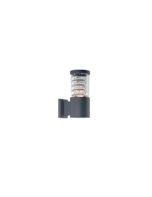 Direttamente Dal Produttore Ideal Lux Tronco AP1 027005 lampada da parete moderna per esterno - Antracite