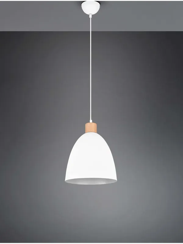 Lampadario a sospensione design moderno a 1 luce TR653 Vendita Finale