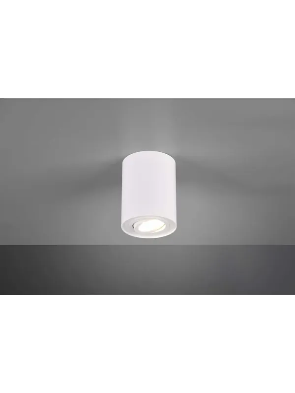 Faretto cilindro orientabile plafoniera design moderno a 1 luce TR601 Acquista Ora