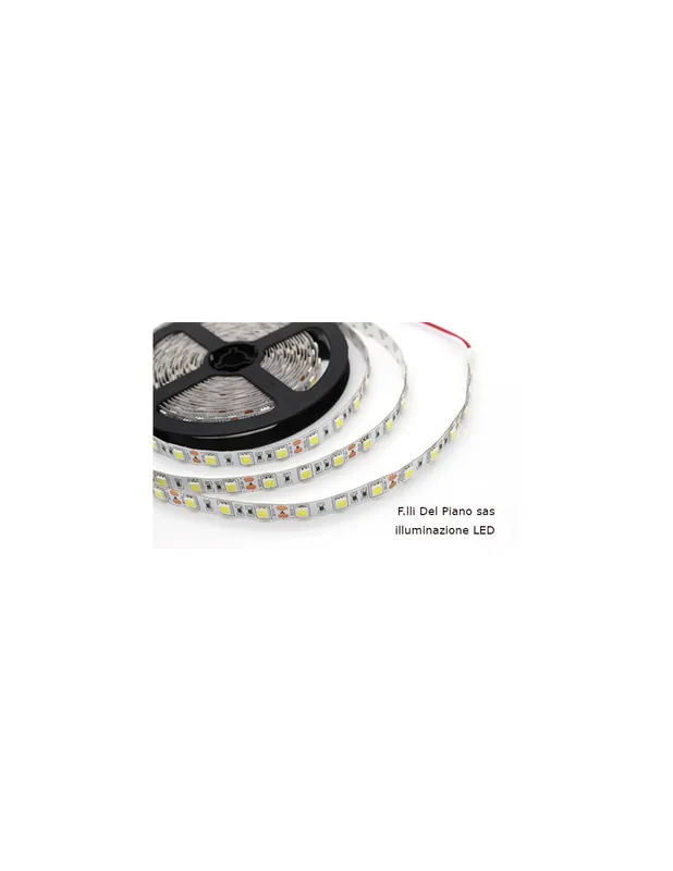 Spedizione Espresso Striscia led 300 bobina 5mt 14,4w a mt ip20 k6500 strip led