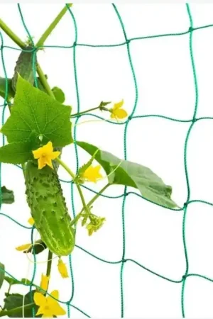Compra Adesso Rete sostengreen per piante rampicanti 2,0x10mt