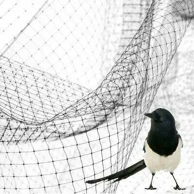 DIFENGREEN RETE DI PROTEZIONE CONTRO GLI UCCELLI 4x10 mt Saldi