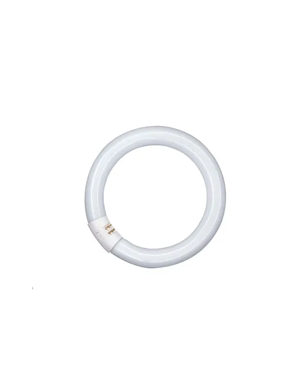 Compra Adesso Lampada circolare trifosforo 22w 6500k g10q lr221 airam