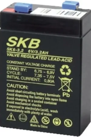 GBS ELETTRONICA BATTERIA AL PIOMBO RICARICABILE 6V 3,2AH 66X33X97 38.6203.07 Economico