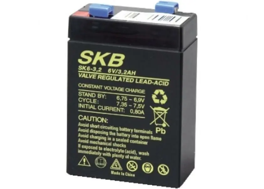 GBS ELETTRONICA BATTERIA AL PIOMBO RICARICABILE 6V 3,2AH 66X33X97 38.6203.07 Economico