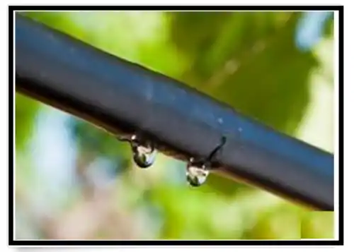 TUBO IRRIGAZIONE A GOCCIA Ø 16mm NERO con gocciolatore a pastiglia autopulente Economico
