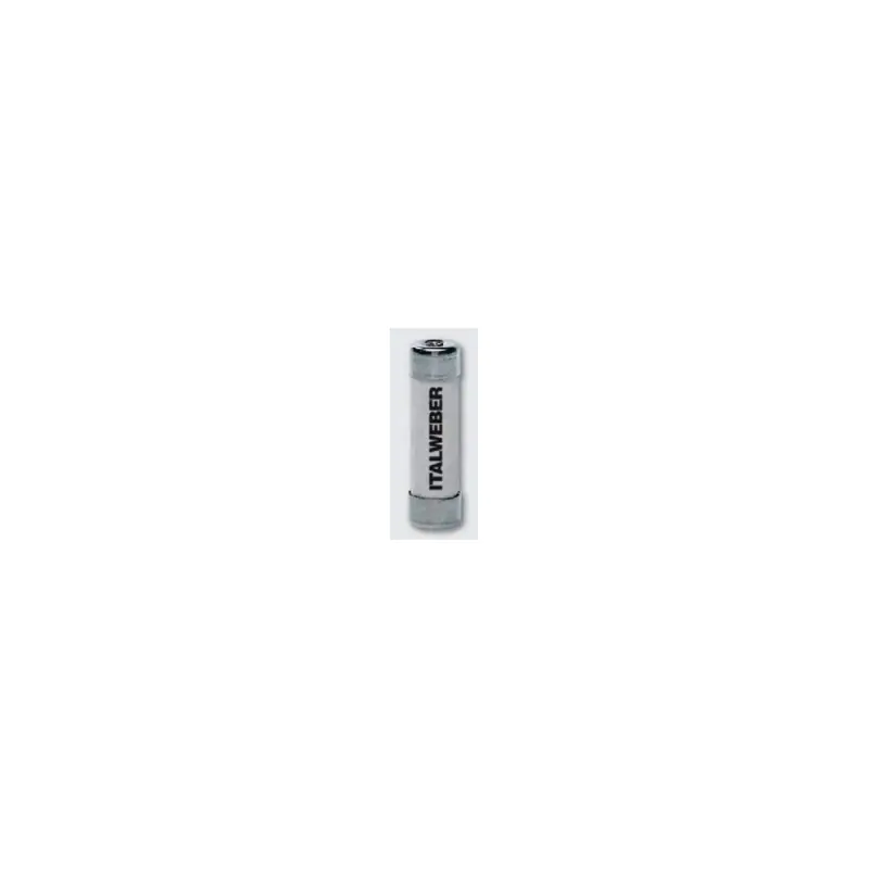 Non Perdere italweber fusibile c1 gg 6a 400v italweber 1110006