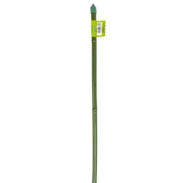 CANNA TUTORE BAMBOO PLASTIFICATO Ø 12-14, altezza 150cm Acquista Ora