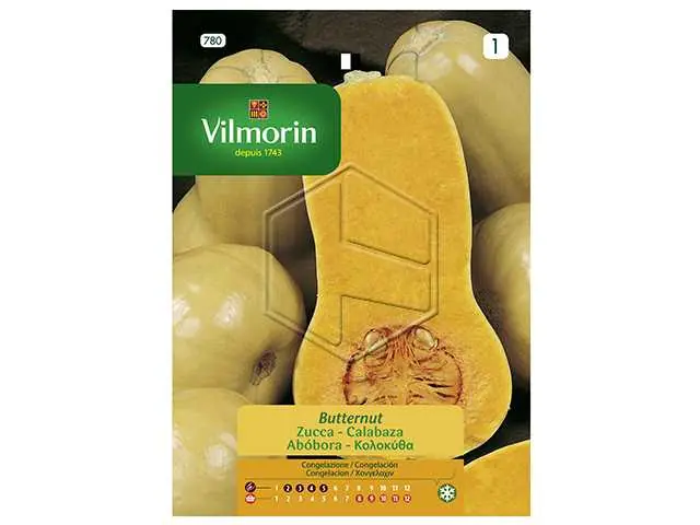 Scelto Dai Clienti VILMORIN ZUCCA
