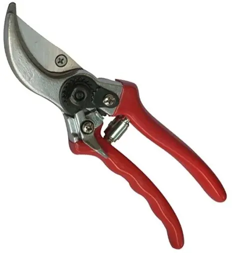 Reso Gratuito Forbice potatura Standard By-Pass lama cromata 21cm