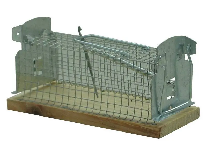 Trappola topi a galleria con base in legno 28x9 cm Must-Have