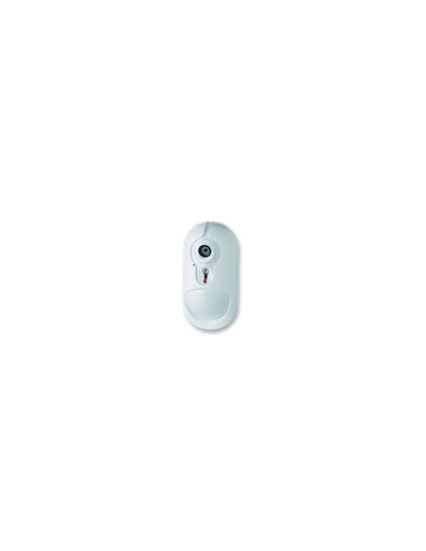 Economico Rivelatore ir con telecamera per centrali bw