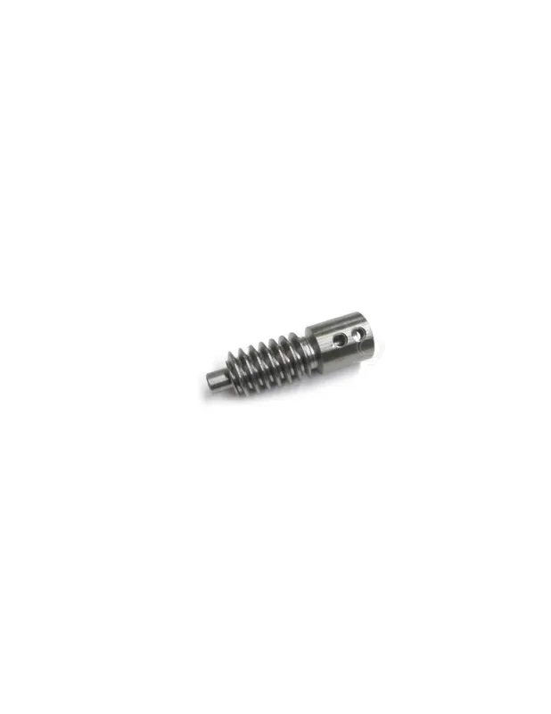 Offerta Lampo Ricambio vite senza fine motore Ray 4M e FAST Key Automation