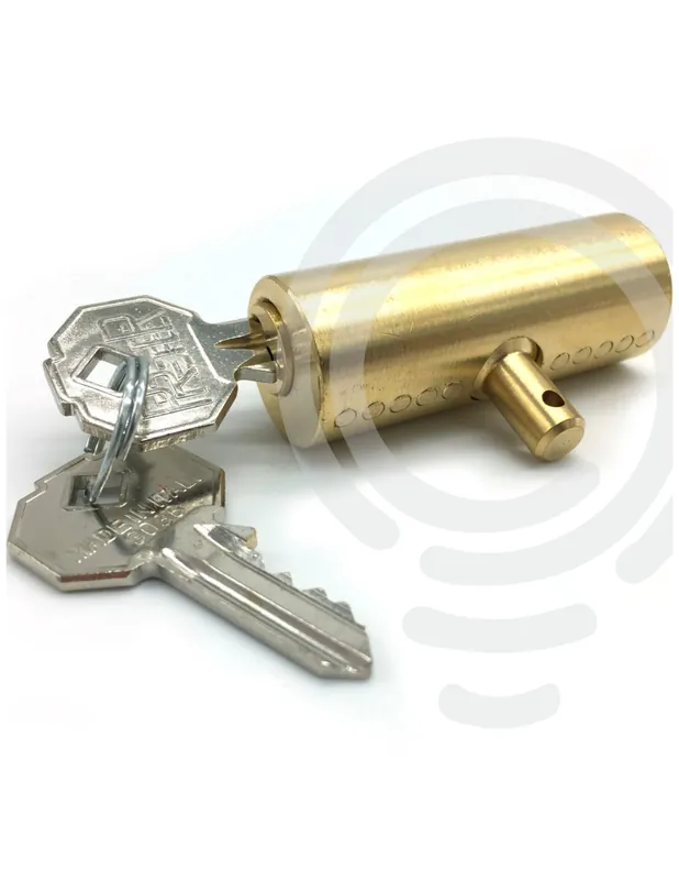 Economico Ricambio Doppia Serratura con Perno a Molla (Matrice Casuale, 2pz) - 999SERR002A00 - Key Automation