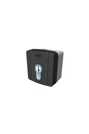 Acquista Ora Selettore a chiave da esterno automazione came 001sete 806SL0050
