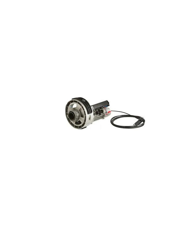 Spedizione Espresso Motore serranda H40230180 230v irreversibile 180Kg CAME