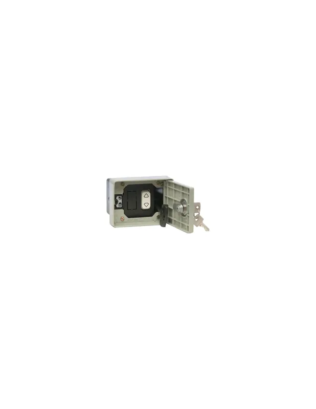 Selettore a chiave blindato incasso automazione elettronica 2061T zippo Popolare