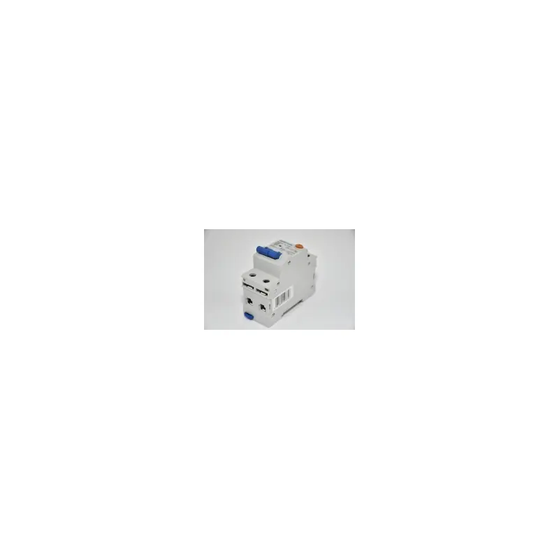 interruttore differenziale magnetotermico 1p+n 25a 0,03 30ma 2 moduli 4,5ka salvavita chint curva c tipo ac 203337 Offerta Speciale