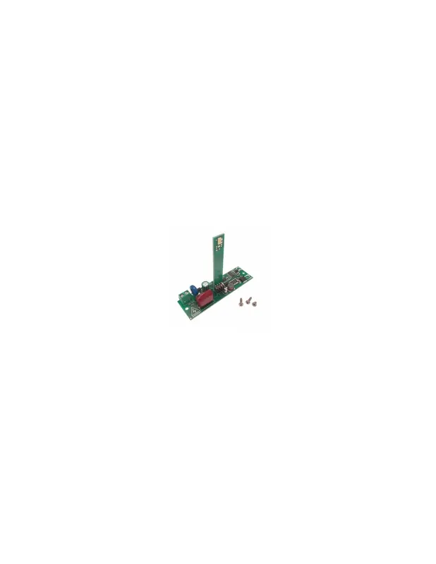 Scheda ricambio per lampeggiatore 119rir454 came Super Prezzo