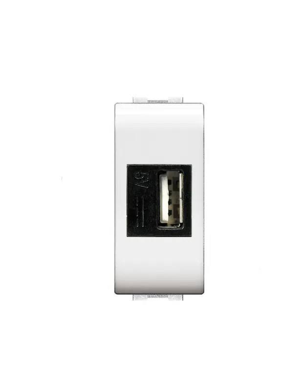 Presa alimentatore tipo C da incasso input 230v output 5v dc 2.1A Consegna Rapida