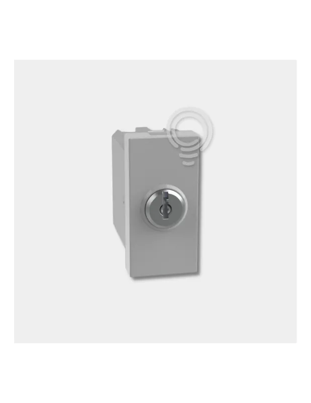 MatixGO - deviatore 1P 10AX chiave grigio Occasione