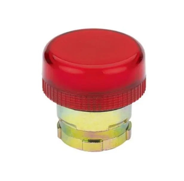 Ordina Subito Gemma metallica Chint NP2-BV5 gialla - 575212