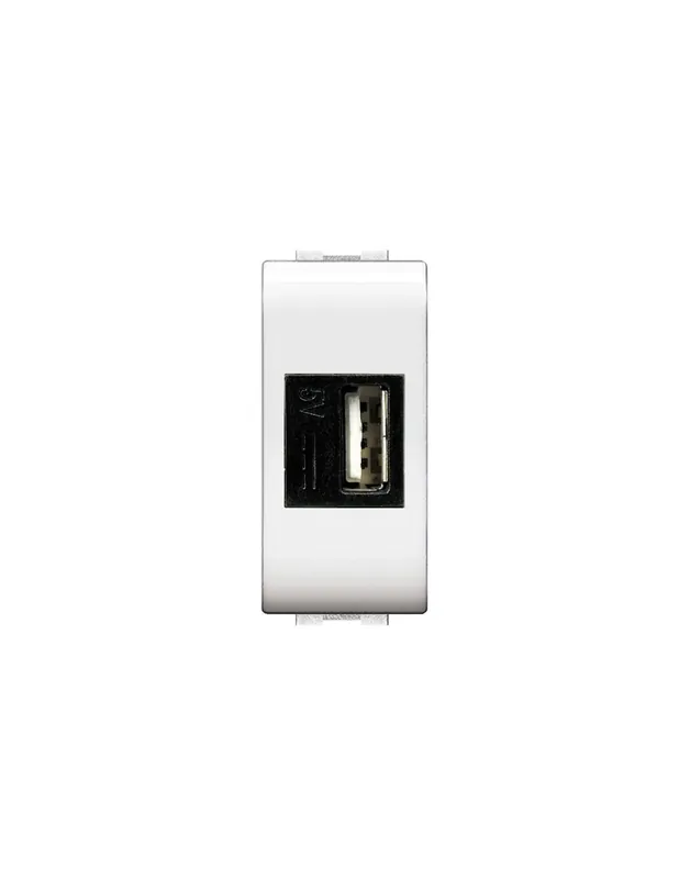 Presa alimentatore usb da incasso input 230v output 5v dc 1.2a Consegna Rapida