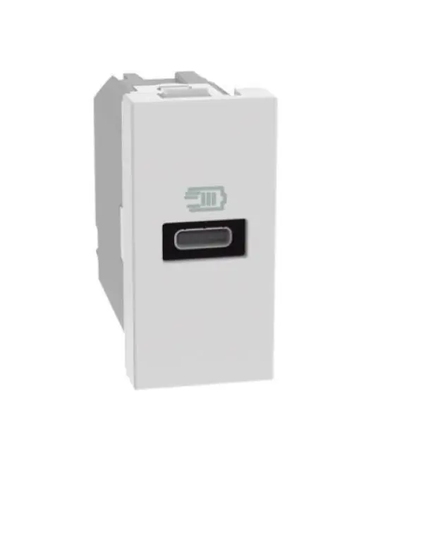 Spedizione Espresso Caricatore Usb Bticino MatixGo tipo C 1 modulo bianco - JW4192C