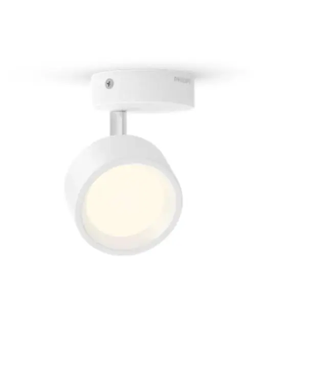 Reso Gratuito Faretto led Philips Bracia 1 luce 5,5W 2700K bianco - 17474000