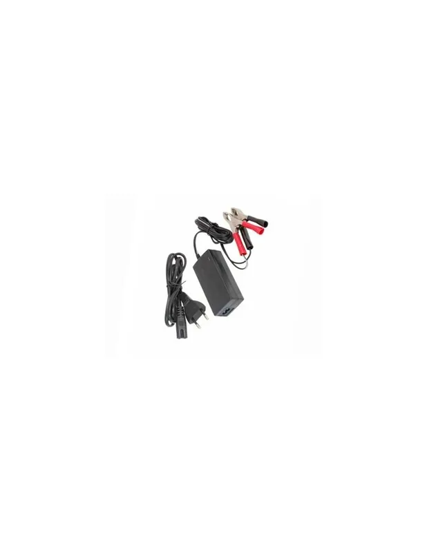 Caricabatteria per batterie ricaricabile a piombo 6/12/24v 1200mah Non Perdere