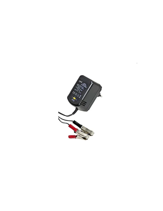 Esclusivo Caricabatteria universale batterie piombo 2/6/12v 600ma 10w