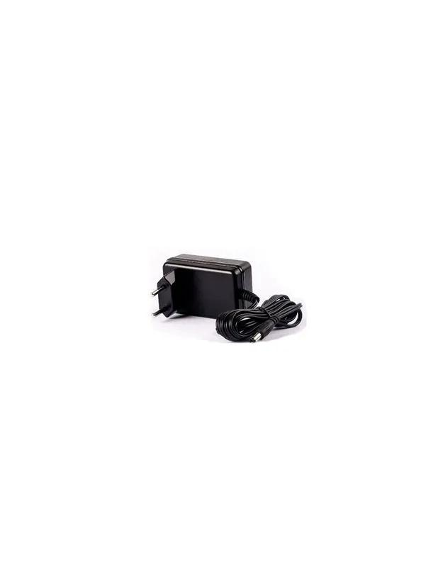 Caricabatteria universale 15vdc 500ma 230v pacchi batteria Quantità Limitata