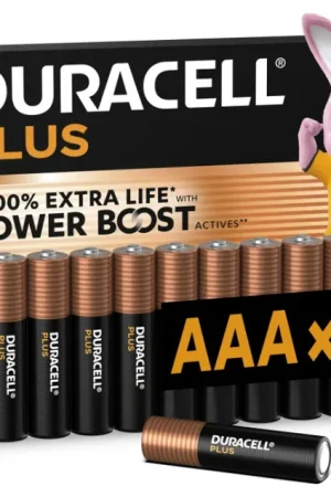 Batterie alcaline mini stilo AAA 1.5V confezione 12 pezzi Duracell MN2400POWER/B12 Offerta Speciale