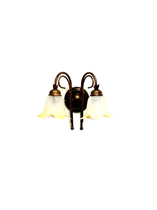 Compra Adesso Applique classico in ferro battuto a 2 luci coll. Giovy