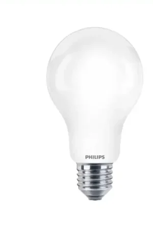 A Buon Prezzo Lampadina LED A67 E27 150W luce fredda Philips INCALED150865G2 alta luminosità