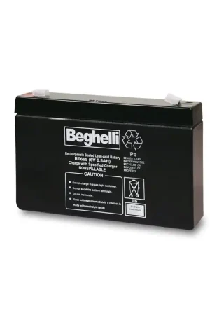 batterie di ricambio pb 6v 6,5ah beghelli 3916 Quantità Limitata