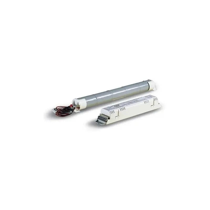 alimentatore elettronico elettrinv per fluor.834/18-58 4.8 sa beghelli 8348 Acquista Ora