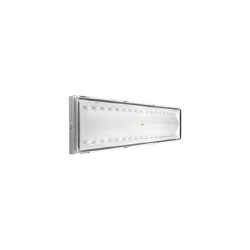 lampada emergenza granluce t5 led ip65 se 2h beghelli 8590 Reso Gratuito