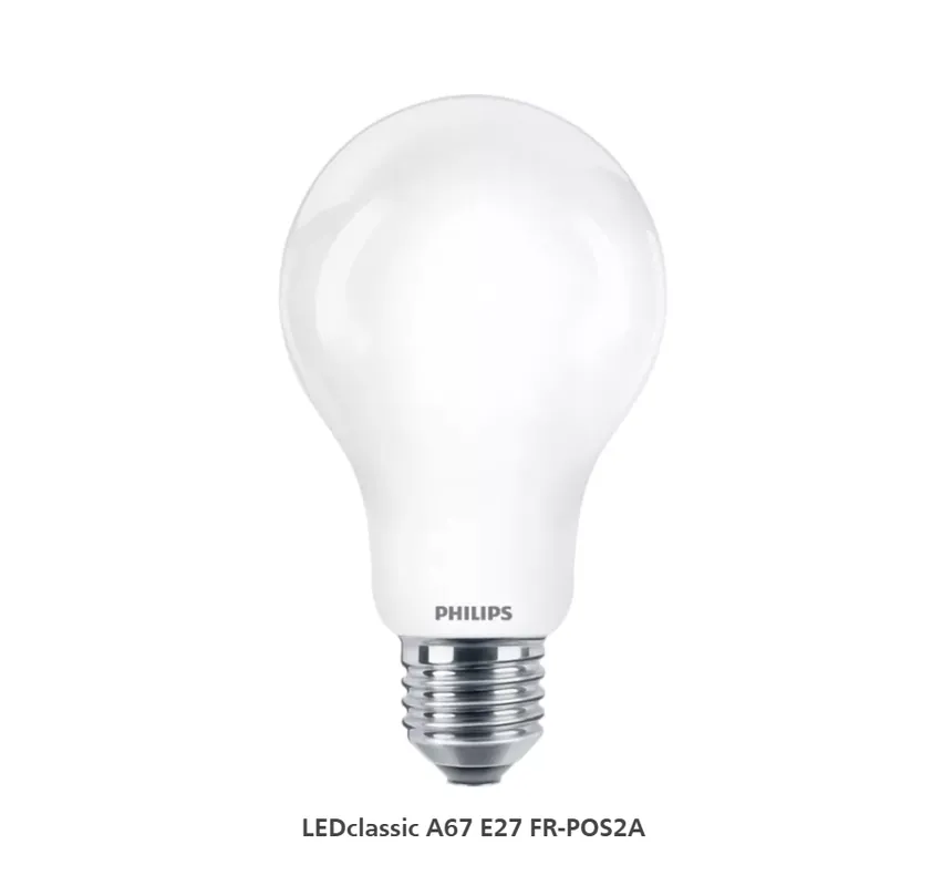 Offerta Speciale Lampadina LED attacco E27 100W A60 luce calda Philips 304661100