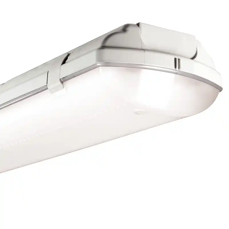 beghelli plafoniera bs100 led 2X80 sd 4000k luce naturale ip65 beghelli 280sd Spedizione Espresso