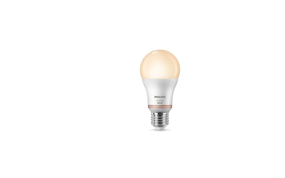 Spedizione Espresso Lampadina Smerigliata 100W E27 2700-65000K A60 Philips 304663500