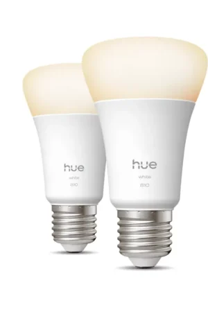 Lampadine LED smart E27 attacco standard 60W Philips 307256600 luce bianca Economico