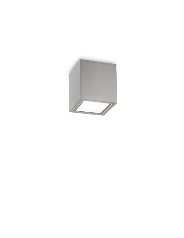 Compra Adesso Ideal Lux Techo PL1 Small lampada da soffitto per esterni